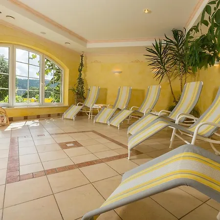 Sporthof Austria 3* רמסאו אם דכשטיין